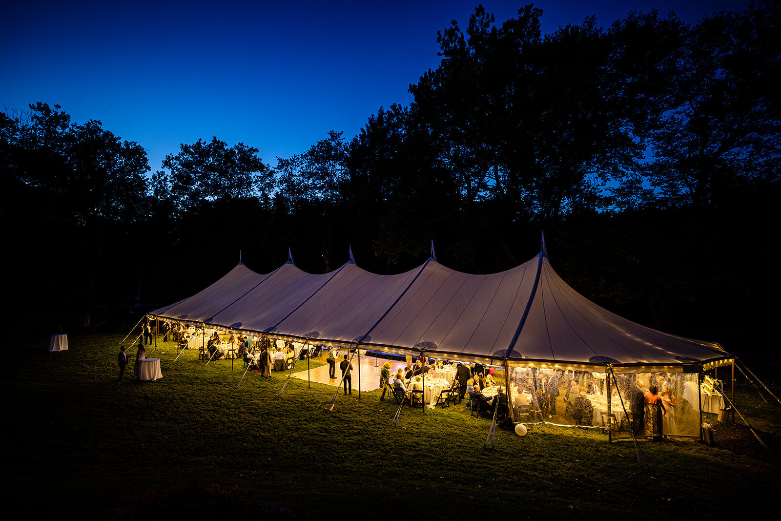 Wedding reception moment